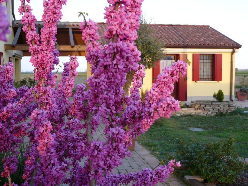 أدريا B&B La Garzetta المظهر الخارجي الصورة